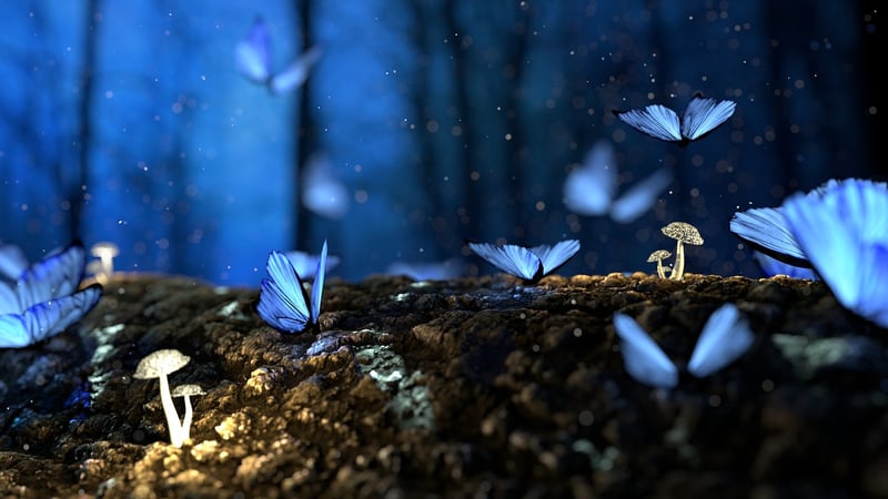 Enchanted Forest Escape