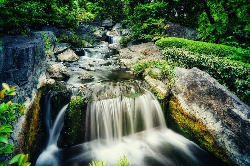Zen Wonderland